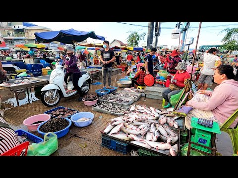Amazing ! Cambodian Wholesale Fish Market Scenes - Khmer People's Daily Activities in Early Morning
