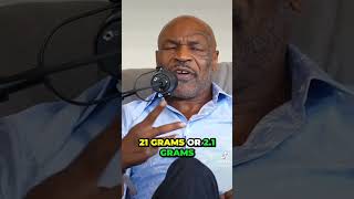 No life after death?