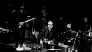Elvis Costello - Sneaky Feelings (Live)