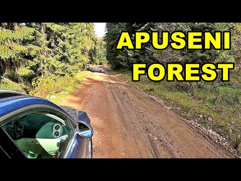 Apuseni Mountains Part 3 - Tiguan 5N2 4motion -  Sunrise Autumn Forest - October 2020