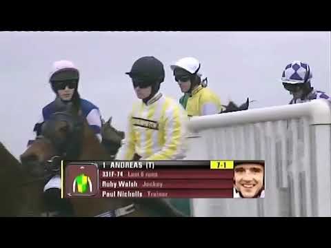 2008 Red Rum Chase - Aintree meeting