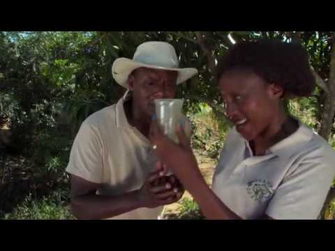 Shamba Shape Up Sn 9 - Ep 5: Mangoes, Insurance, Energy Saving Jiko (English)