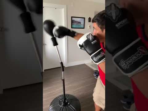 Ringside Cobra Reflex Bag