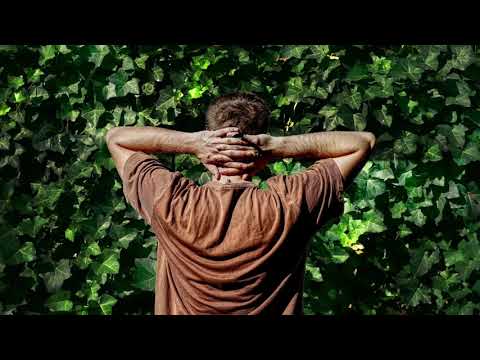 Ninski - Friends (Audio) ft. Thai Mason & Lui Peng