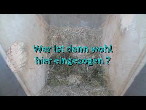 2021 06 05 Wer ist denn wohl da eingezogen ?