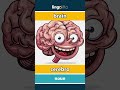 brain - cerebro video thumbnail