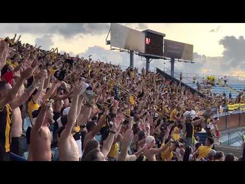 Fim de jogo e espetáculo da torcida carvoeira! - Avaí 2 x 2 Criciúma