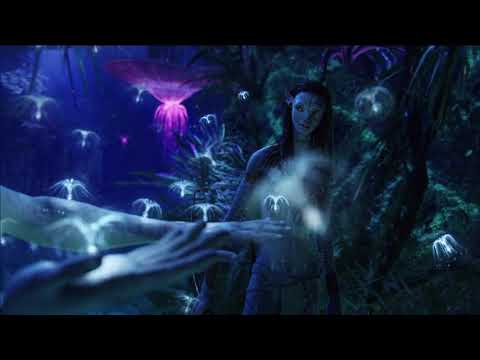 Avatar movie scene -seeds of the sacred tree
