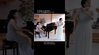 Download lagu 天使のセレナーデ /ブラーガ【フルートとピアノ】 G.Braga : La Serenata 'Der Engel Lied'#shortsfeed mp3