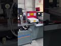 Riproduci video