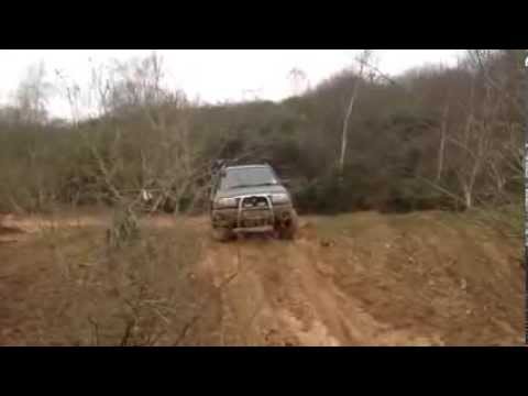 Ver video
