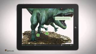 Enciclopedia Visual de las preguntas