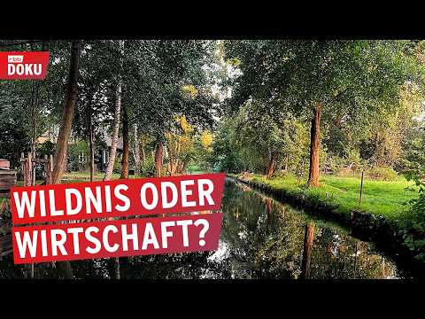 Zu viel Wildnis für den Spreewald? | Konflikt um den Naturschutz | rbb24 Reportage