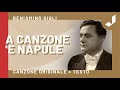 Beniamino Gigli - A Canzone 'e Napule (CANZONE ORIGINALE)