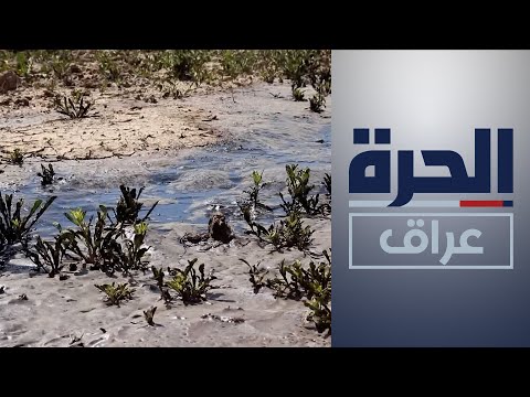 شاهد بالفيديو.. صلاح الدين.. تسرب نفطي يخلف خسائر مادية بنحو 5 آلاف دونم زراعي