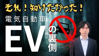 日本にはまだ早い！電気自動車の真実を暴露します。