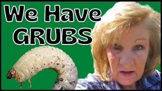 How Do You Get Rid Of Grubs In Your Garden /  We Have Grubs in our Garden / What Are Grubs