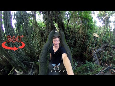 Ubud Monkey Forest in 360 - Bali VR 360 Video