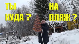Наконец-то мы на даче. Наказала мужа, отправила на исправительные работы.