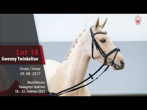 Youngster Auktion 18.-22. Februar 2021 Lot 18 Gwenny Twinkletoe Stute v. Golden Atreju - Good Guffi