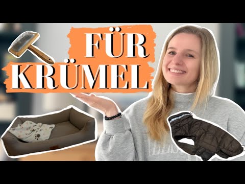 Poodle starter kit | Everyday must-haves for crumbs