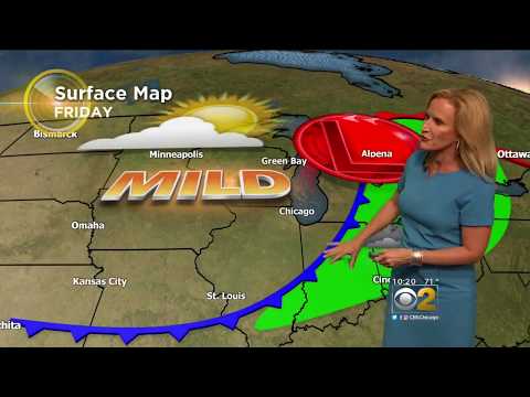 Mary Kay Kleist 2017/08/09 CBS2