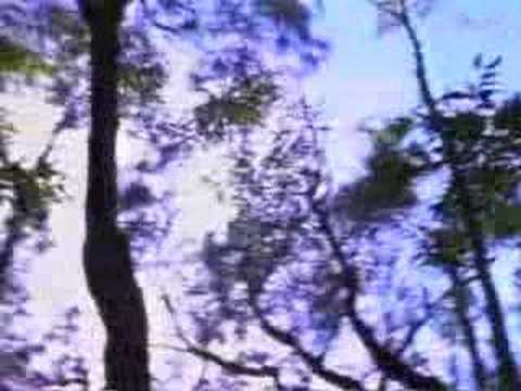 Tumbleweed - Sundial