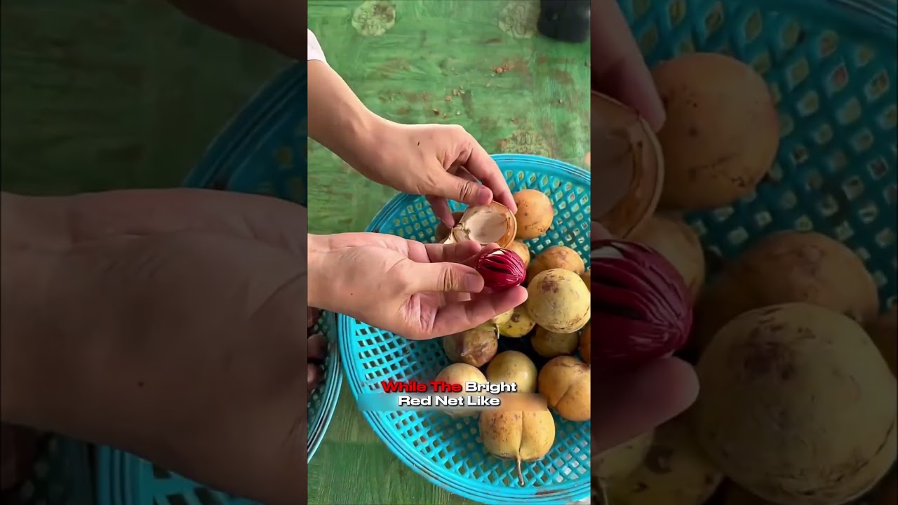 Wait For It… This Fruit Opens Like Magic! 🍃✨ #Ripefruit #shorts #fruits