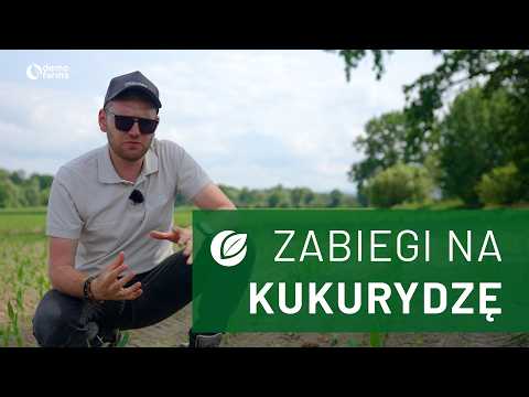 Film na temat: { video.title }}