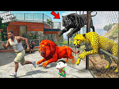 Franklin & Shinchan Escape Hungry Red Tigers in Los Santos! 😱🐯 | GTA 5
