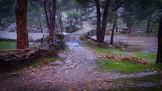 Sağanak Yağmurda Doğada Yürüyüş, 4K - Nature Walking in Heavy Rain, 4K