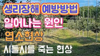 생리장해 예방법/생리장해 일어나는 원인