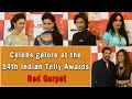 Celebs Galore At The 14th Indian Telly Awards Red Carpet