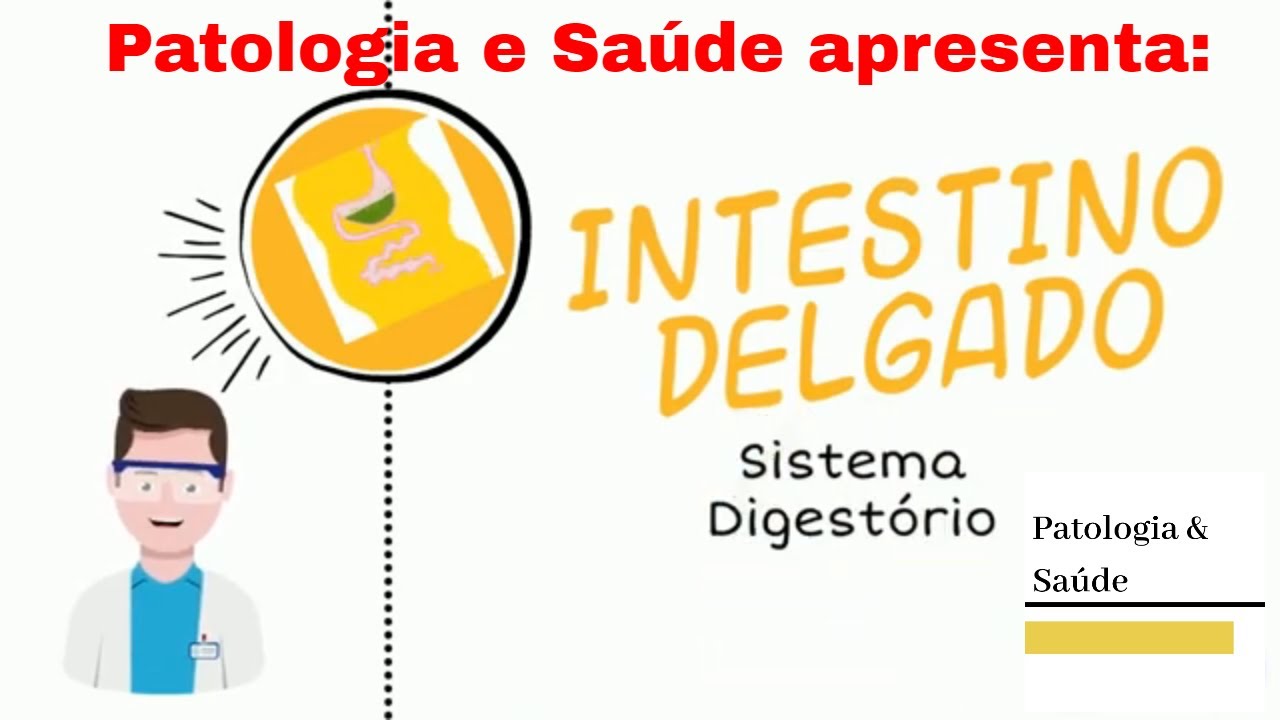 Histologia do Sistema Digestório: Intestino Delgado