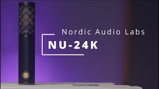 Video thumbnail for Nordic Audio Labs NU-24K: Vintage Character Without Tubes by MillSounds