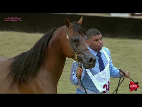 N.307 NAIF AL ZAEEM - 21st Qatar National 2018