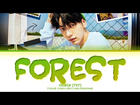 SOOBIN Forest (by Choi Yuree) Lyrics (Color Coded Lyrics)