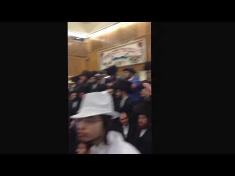 Satmar Purim 2014