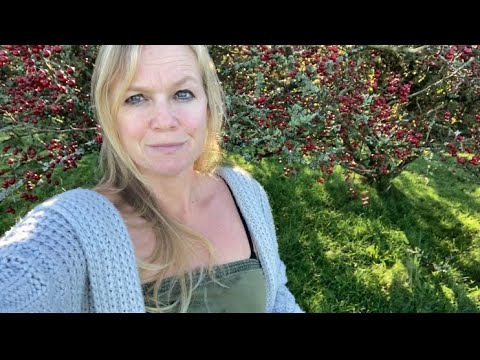 The Hawthorn: Magic and Medicine￼