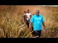 The IWitness Global Citizens Program