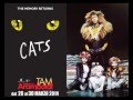 Cats (Milano) - The Rum Tum Tugger 