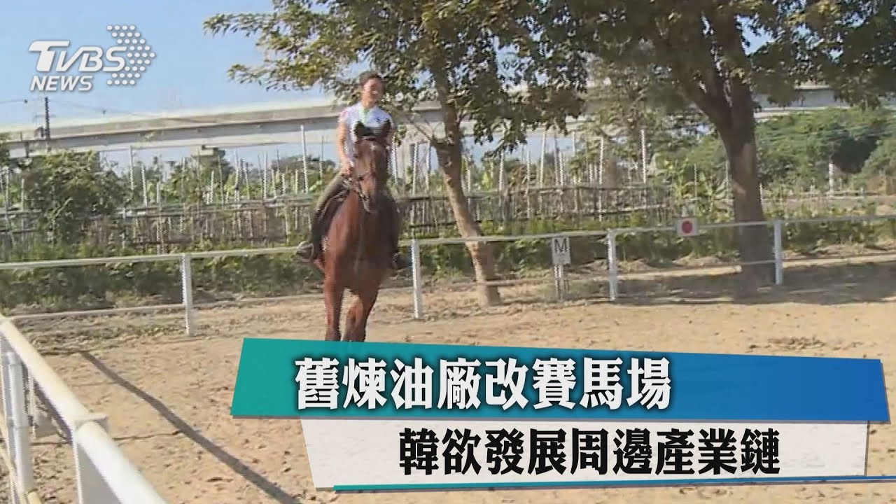 賽馬產業鏈引發討論 動保法、賭博罪先卡關