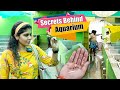 Direct Visit To Fish Farm Unknown Things Behind Aquarium Business Hema S Diary