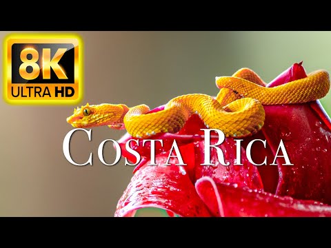COSTA RICA IN 8K ULTRA HD 60FPS HDR