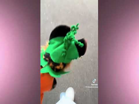 Essa comp! { 2026 } 🎀 #essa #stuffie #comp #compilation #edit #essacomp 