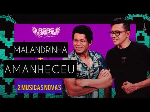 Asas Morenas - (2 MÚSICAS NOVAS) #amanheceu