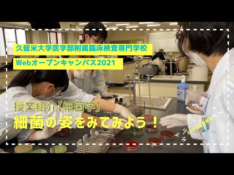 【授業紹介-細菌学-】細菌の姿を見てみよう！