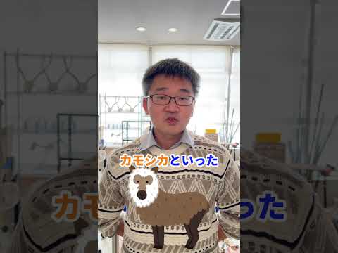 【研究室紹介ショート】生物科学科 動物生態学研究室