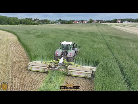 Und ab durch den Bestand! Getreide - Roggen mähen & Häckseln 360ha GPS Ernten Landwirtschaft