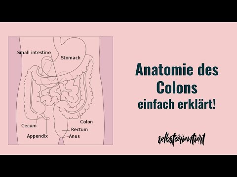 Colon mit Anatomie und Definition einfach erklärt! - Funktion | Bedeutung Gefäße | Deutsch | PDF